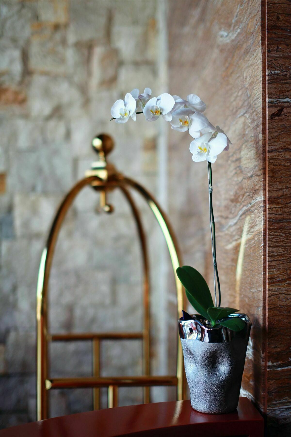 Mega Boutique Hotel กูตา ภายนอก รูปภาพ